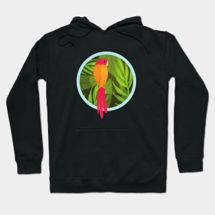 Cute Parrot Hoodie